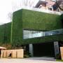 Venta de Hogar y jardín: planta artificial para pared o techo